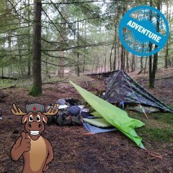 Microadventure auf der Veluwe in Gelderland, Niederlande